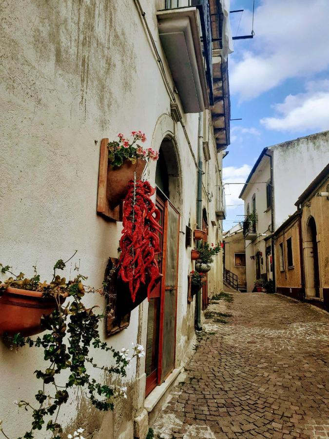 Le Origini Casa In Borgo Tipico Lucano Trivigno Exteriör bild